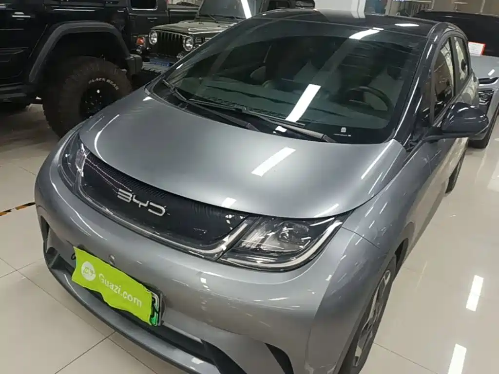 BYD Dolphin 2022