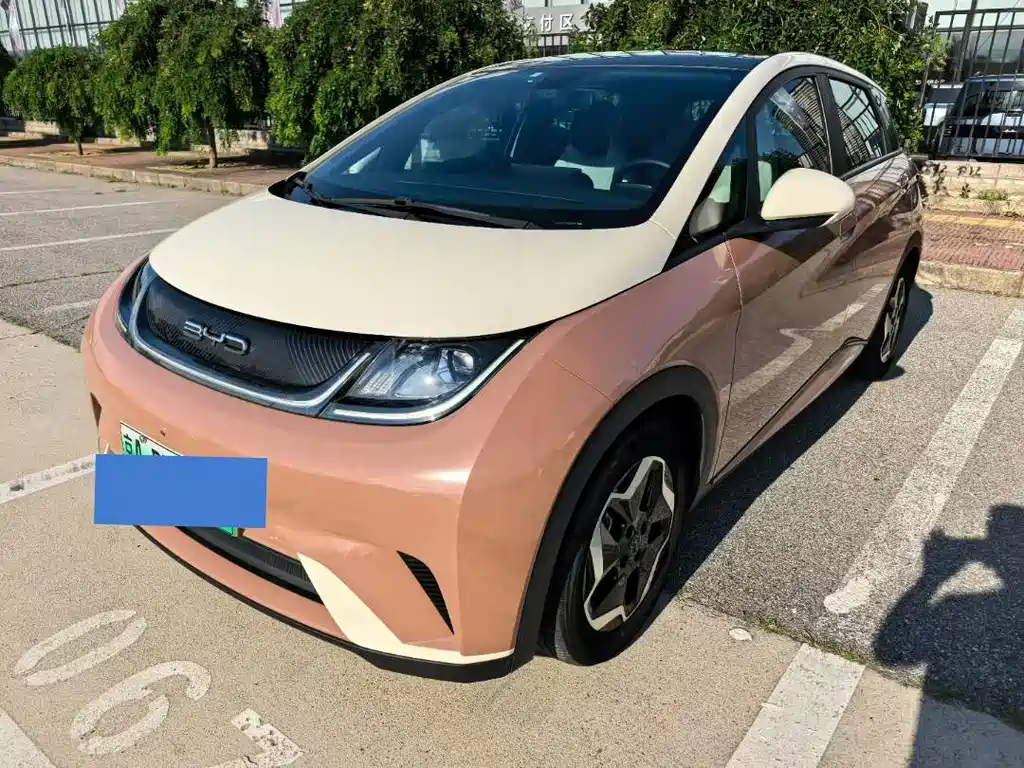 BYD Dolphin 2021