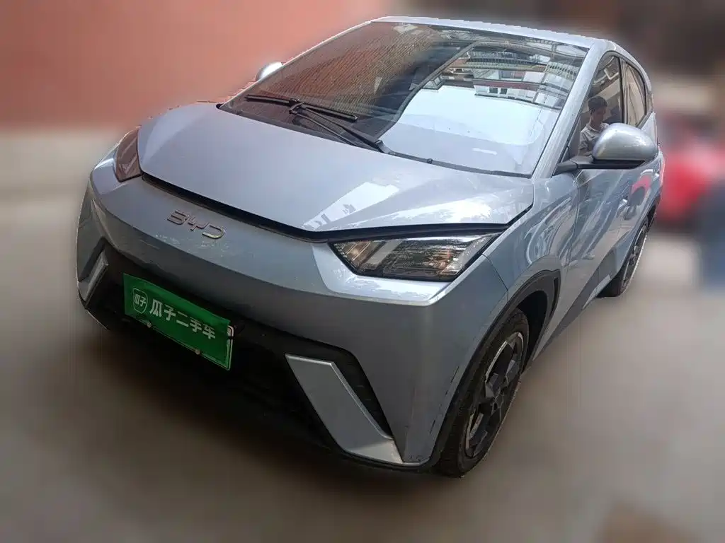 BYD Seagull 2024