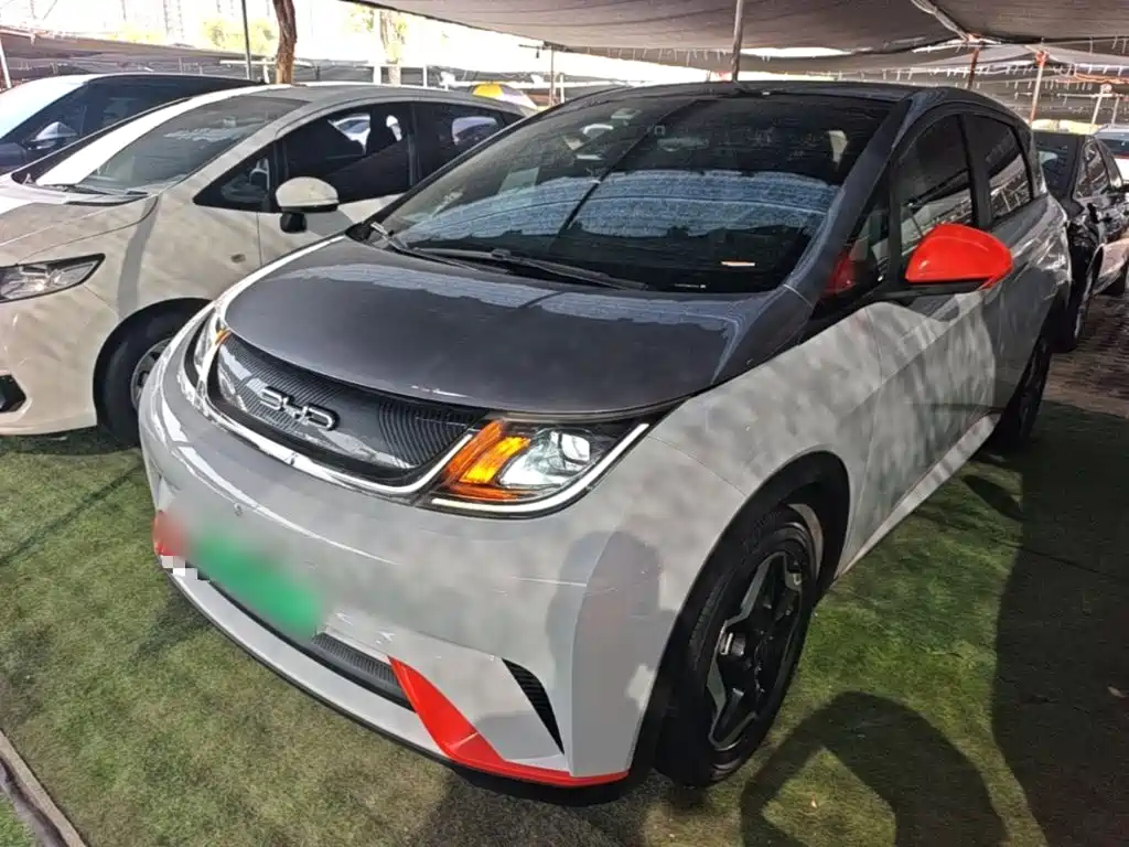 BYD Dolphin 2022