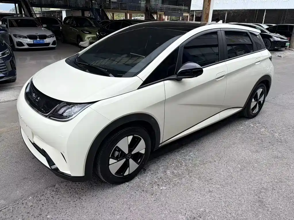 BYD Dolphin 2023