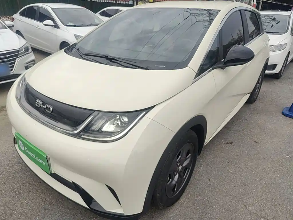BYD Dolphin 2024