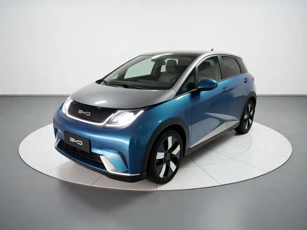 BYD Dolphin 2022