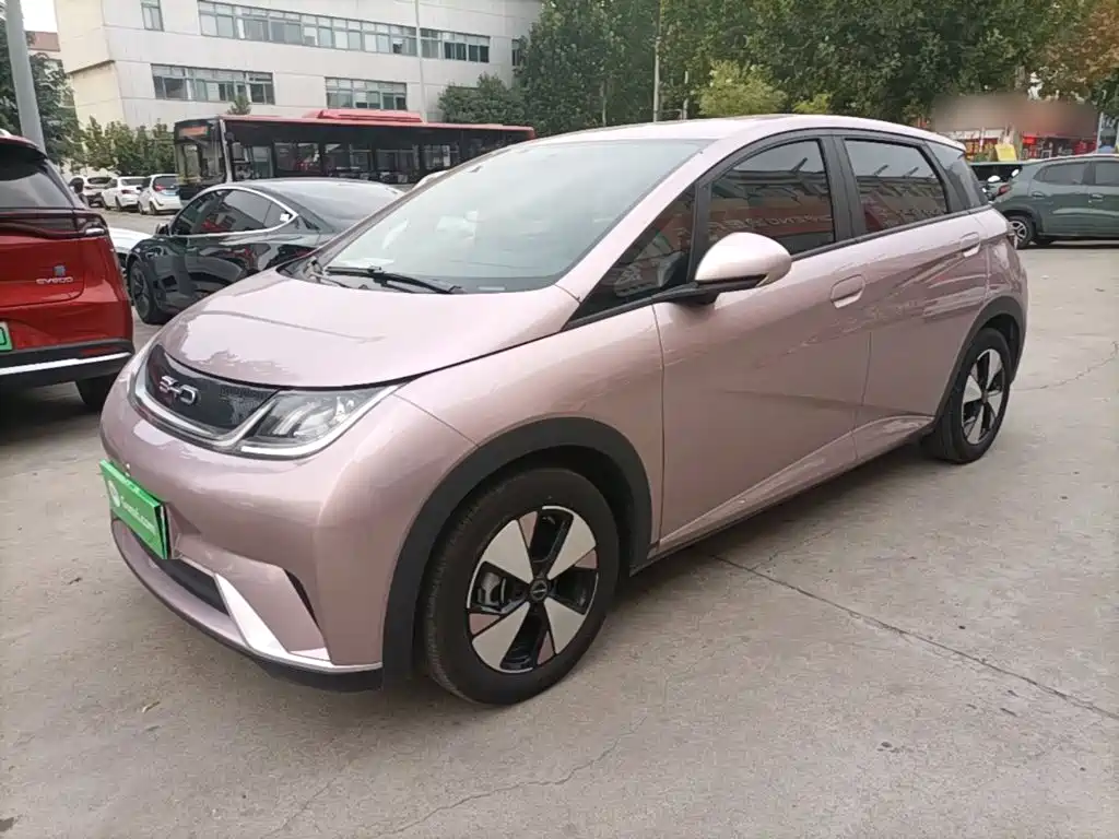 BYD Dolphin 2024