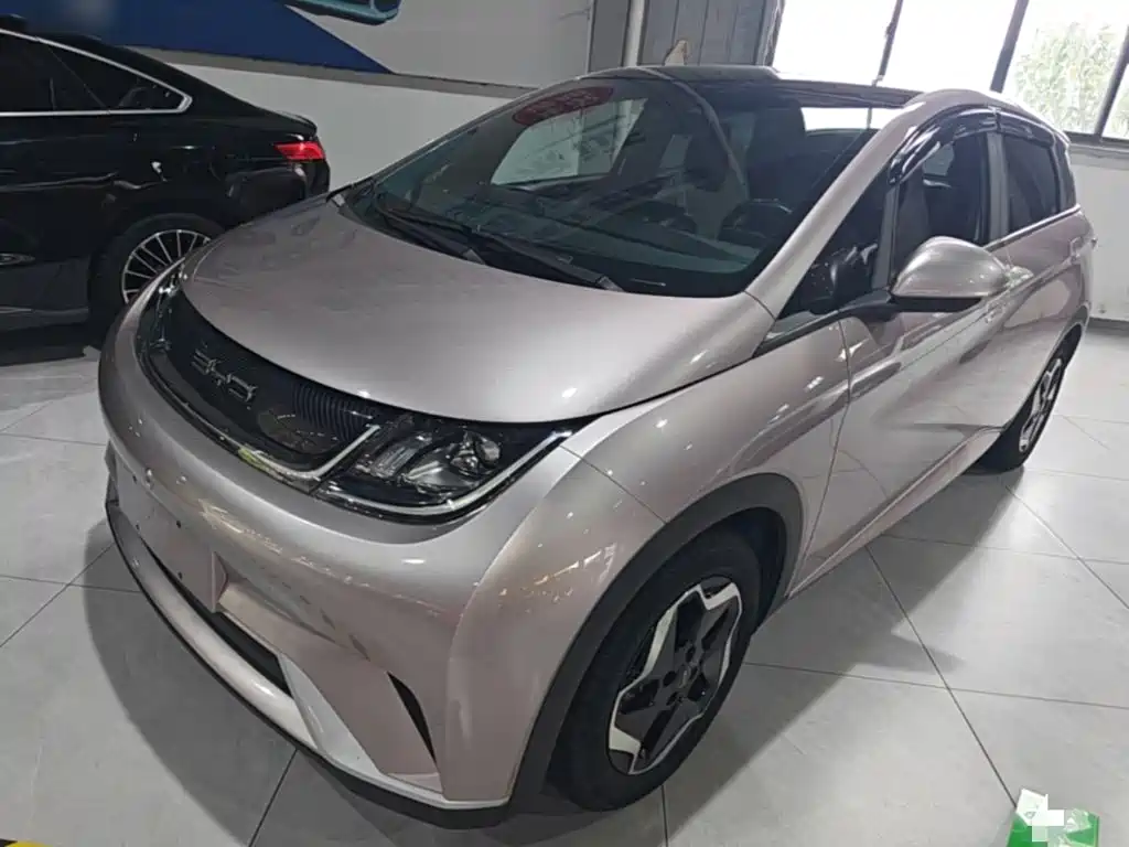 BYD Dolphin 2022