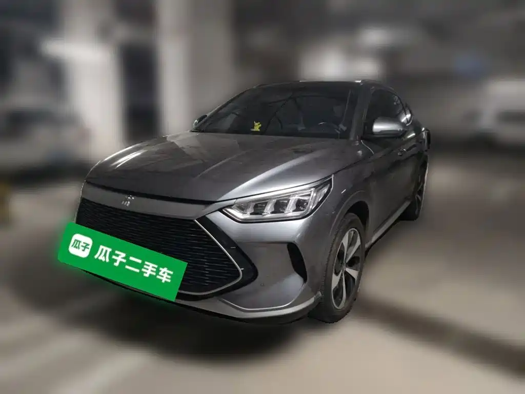 BYD PLUS New Energy 2022
