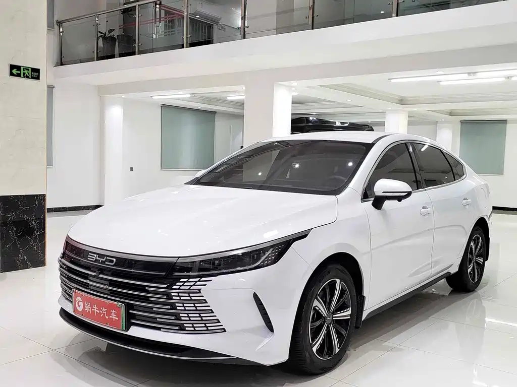 BYD Destroyer 05 2024