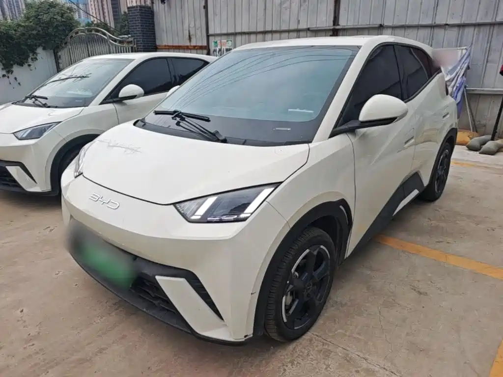 BYD Seagull 2024