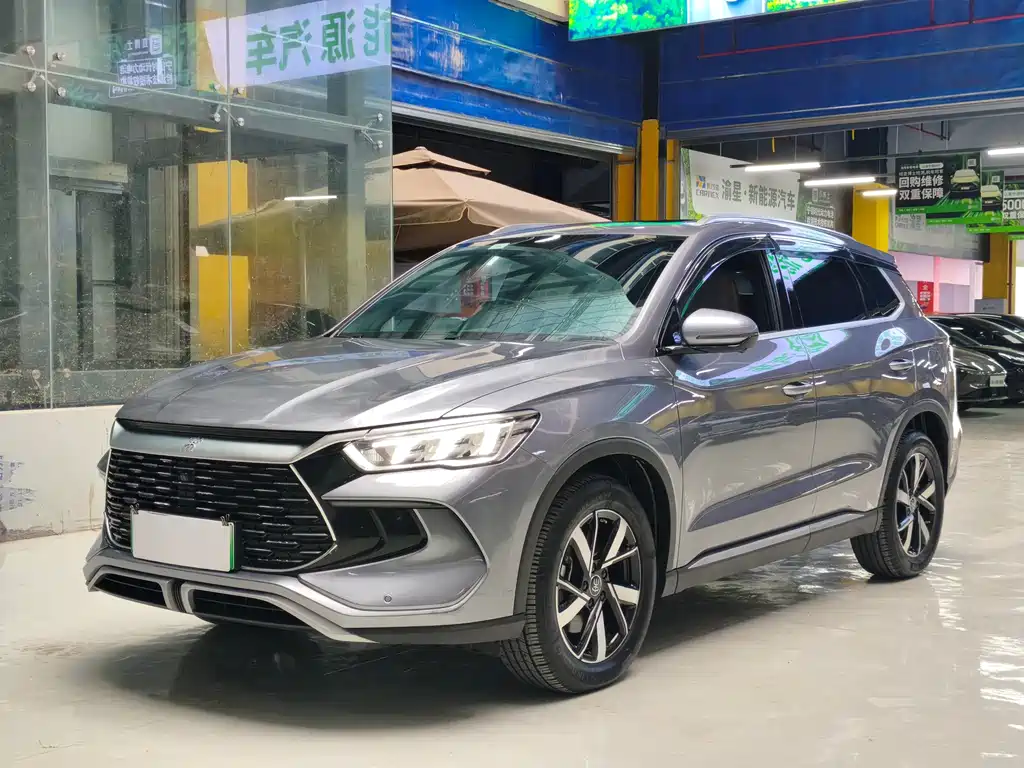 BYD Pro New Energy 2024