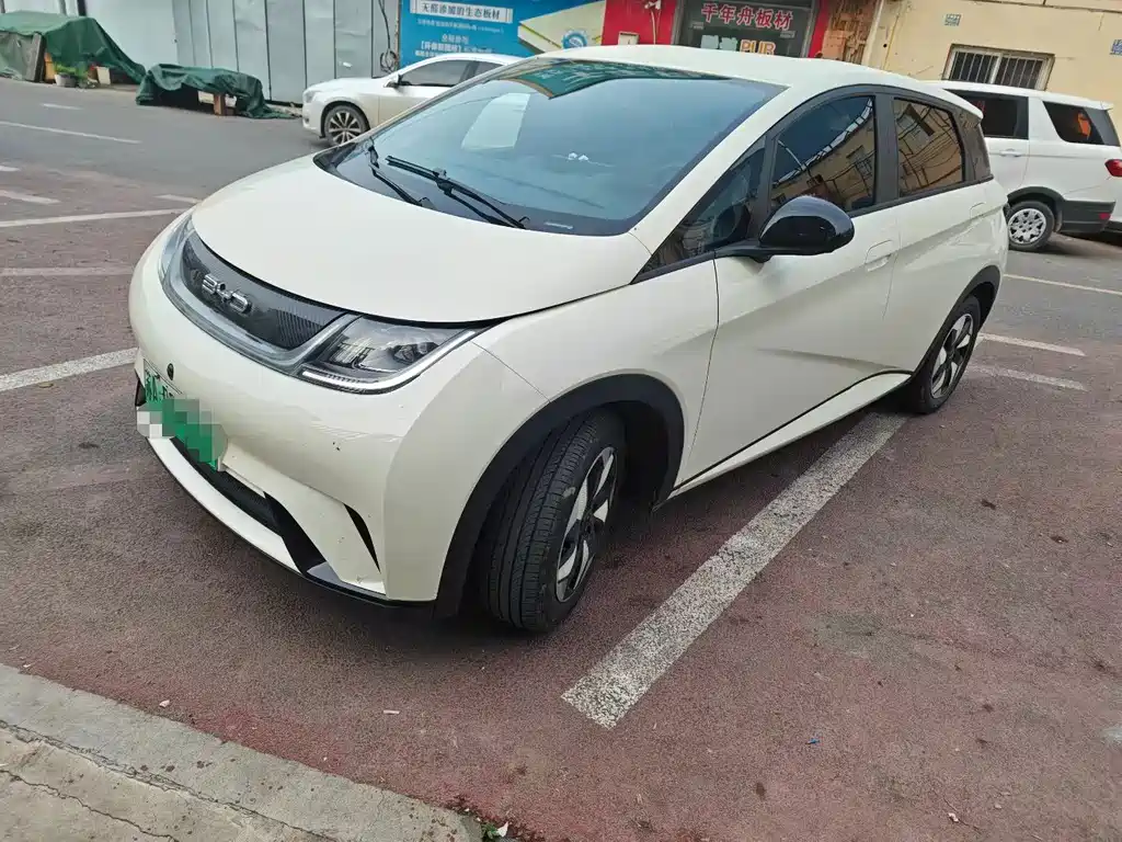 BYD Dolphin 2025