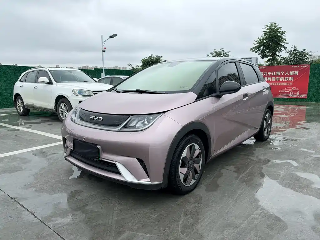 BYD Dolphin 2024