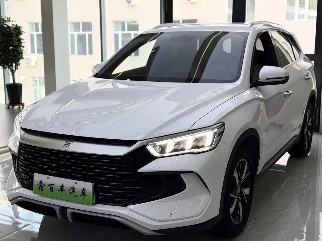 BYD Pro New Energy 2024
