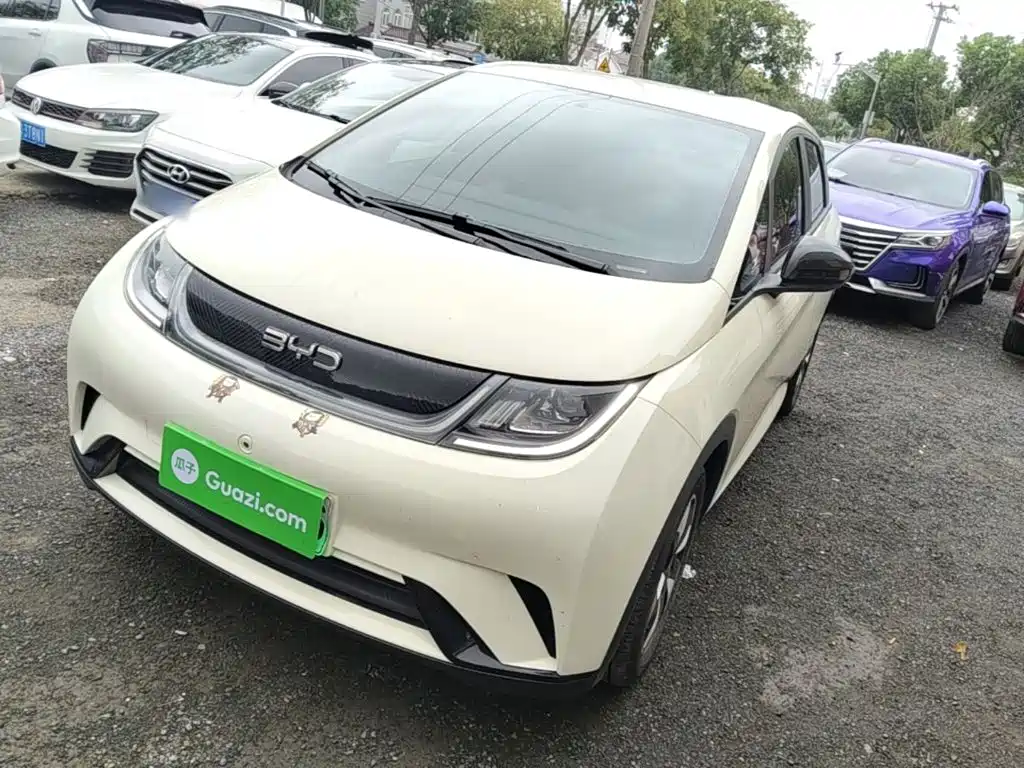 BYD Dolphin 2024