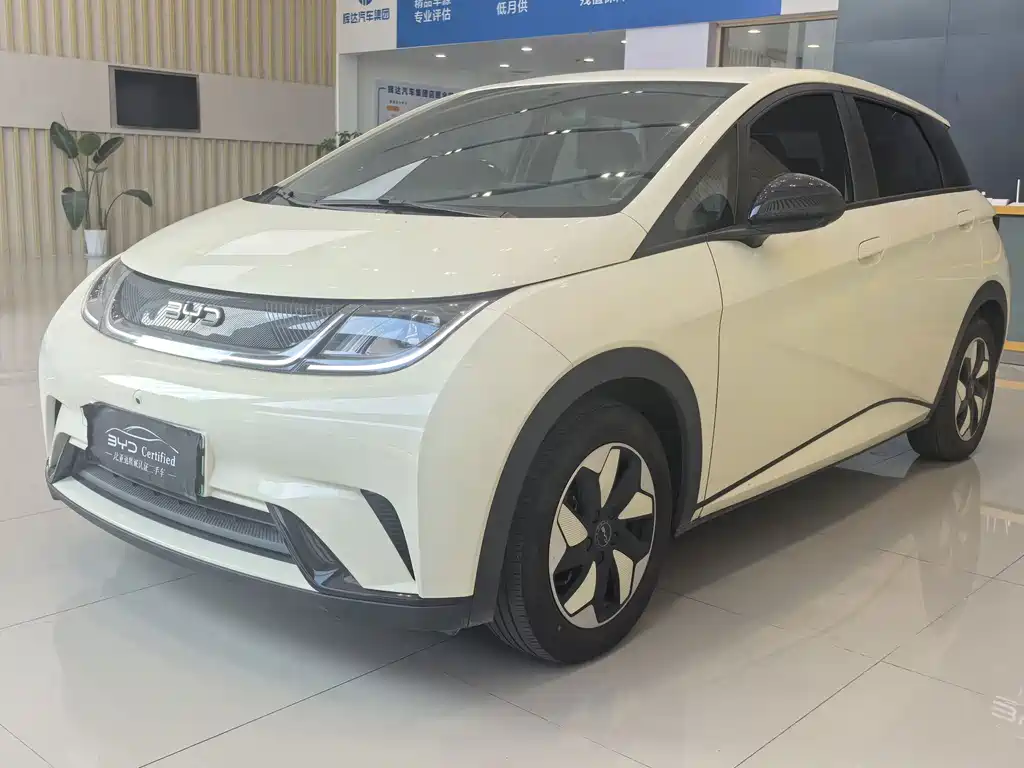 BYD Dolphin 2024