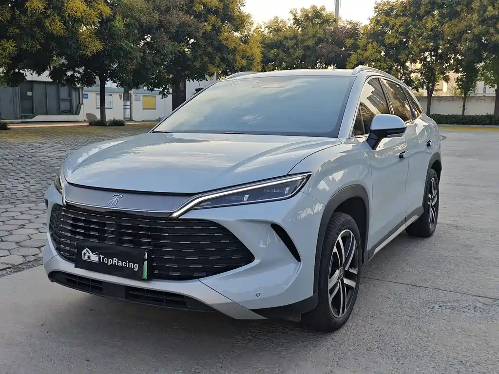 BYD L DM-i 2024