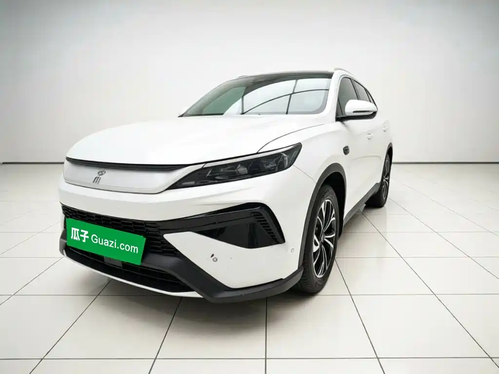 BYD Pro New Energy 2025