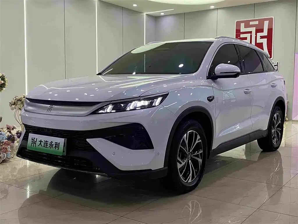 BYD Pro New Energy 2025