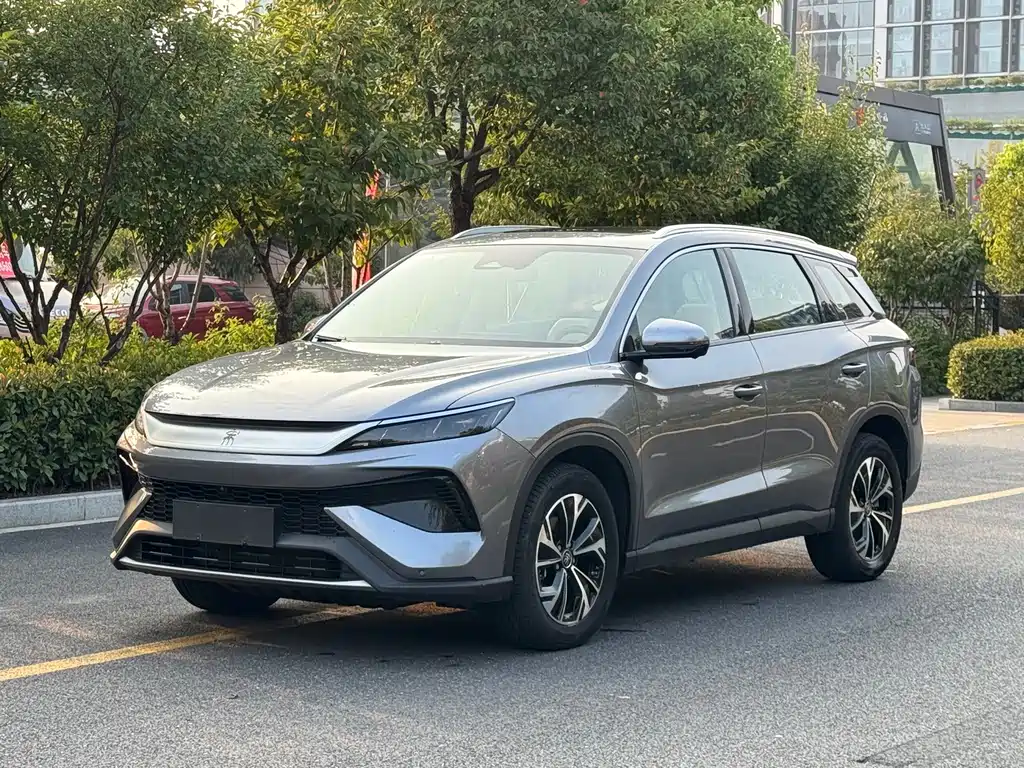 BYD Pro New Energy 2024