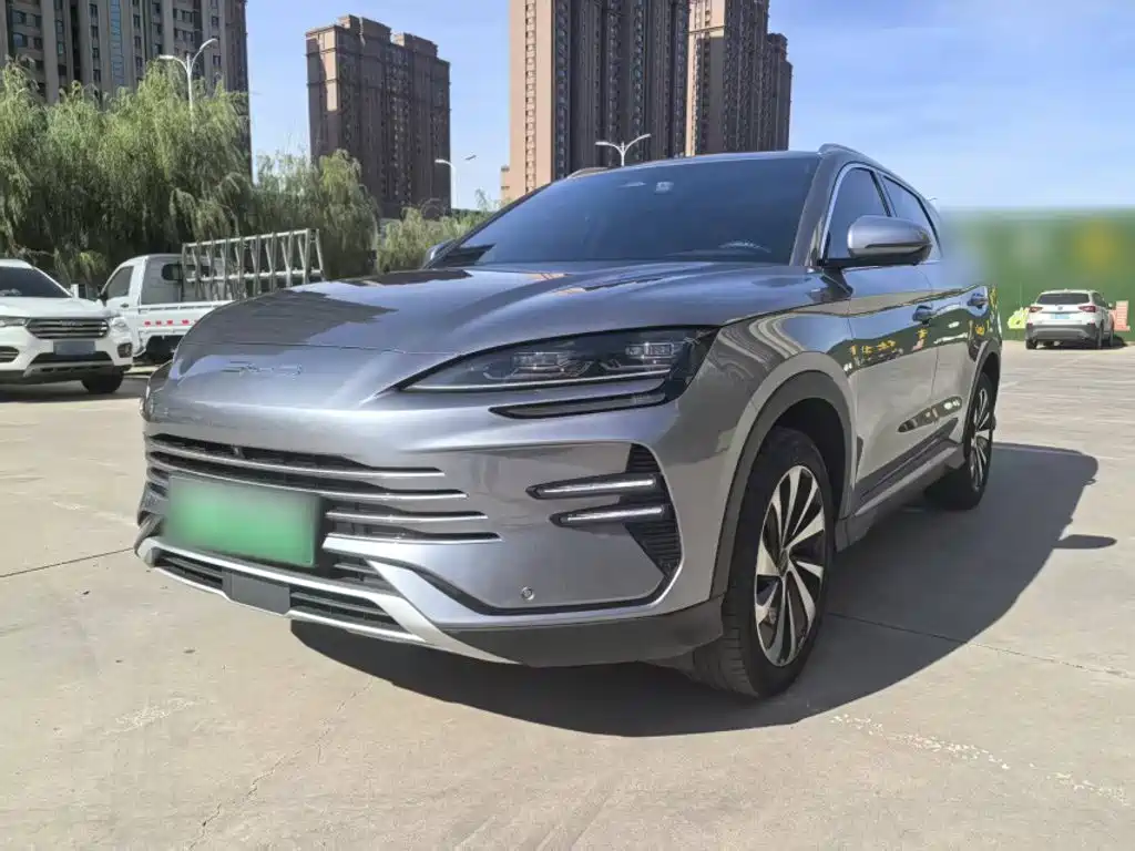 BYD PLUS New Energy 2024