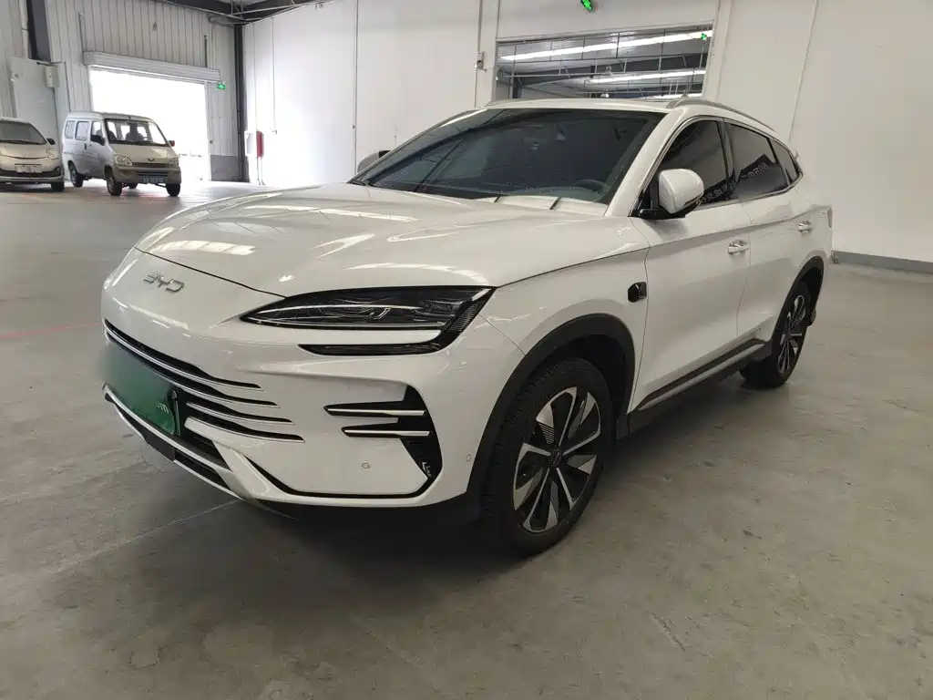 BYD PLUS New Energy 2025