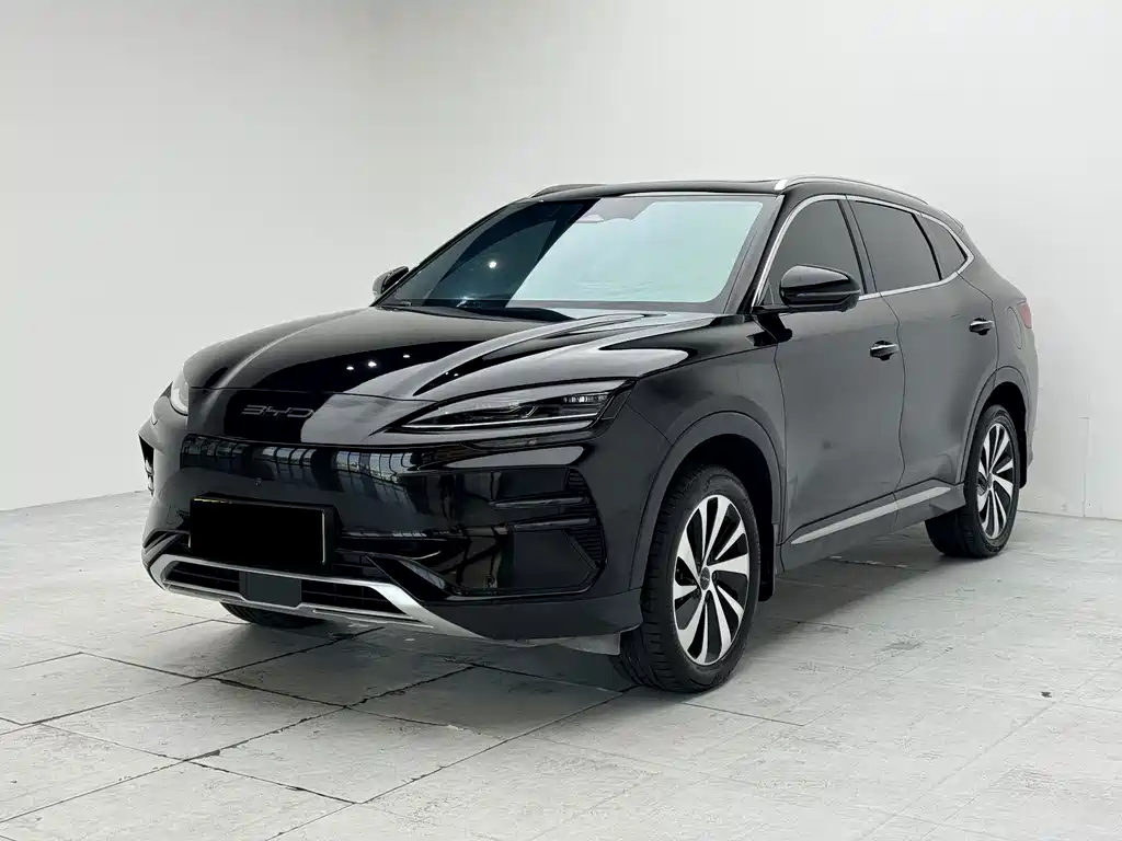 BYD PLUS New Energy 2024