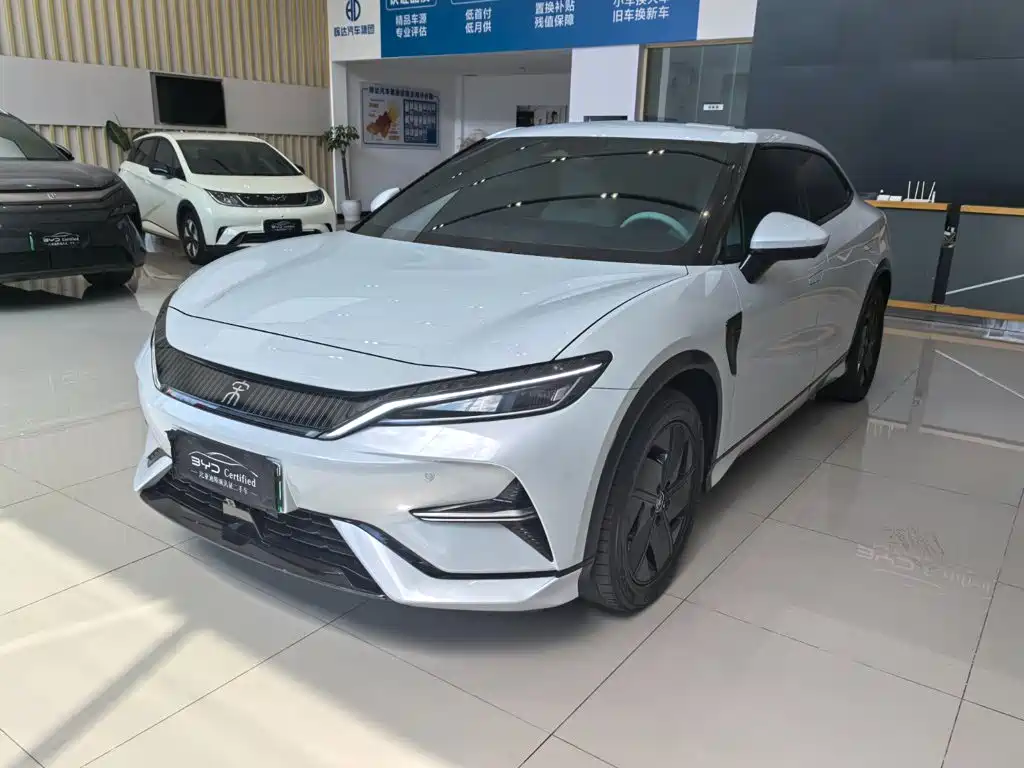 BYD L EV 2024
