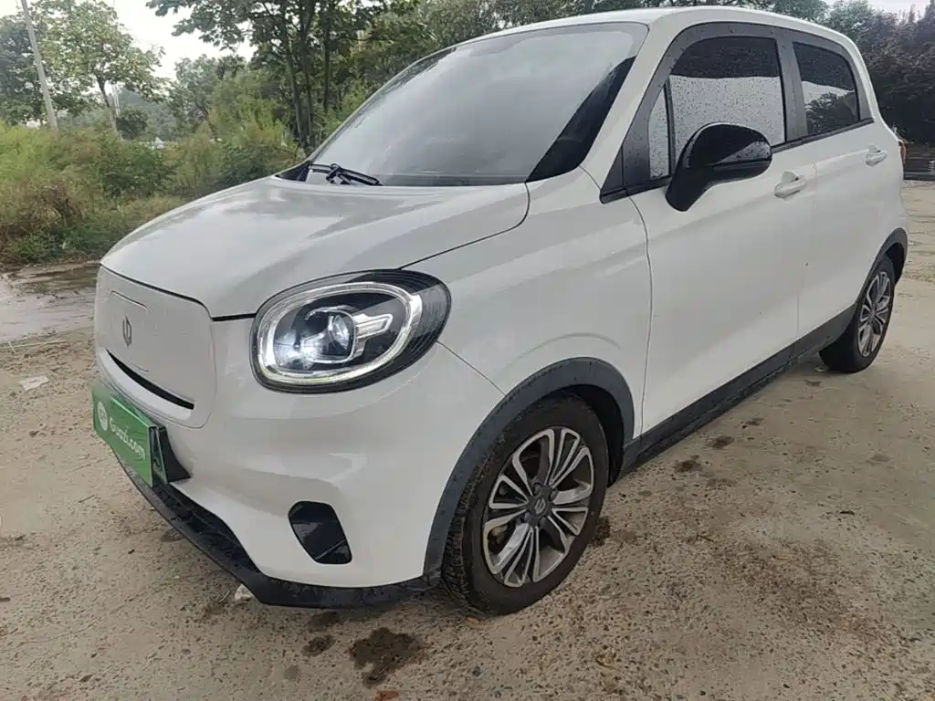 Leapmotor Leapmotor T03 2021