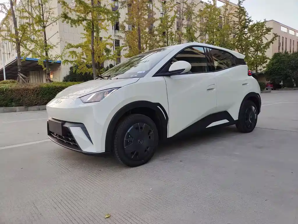BYD Seagull 2024