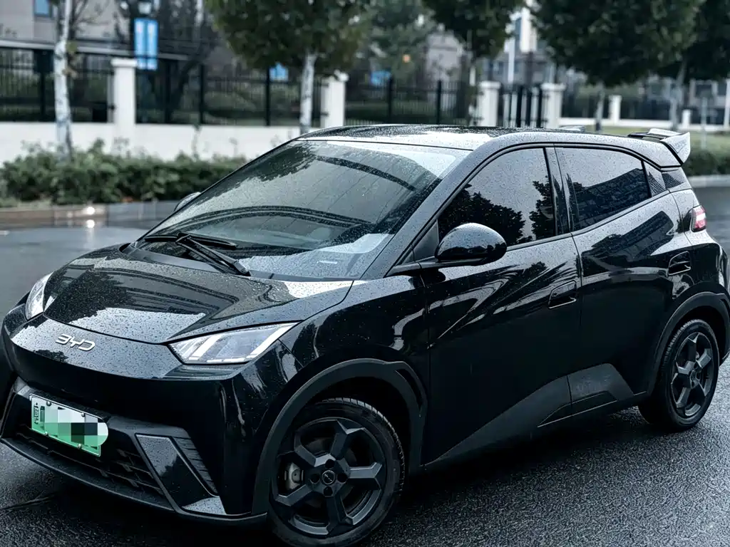 BYD Seagull 2024