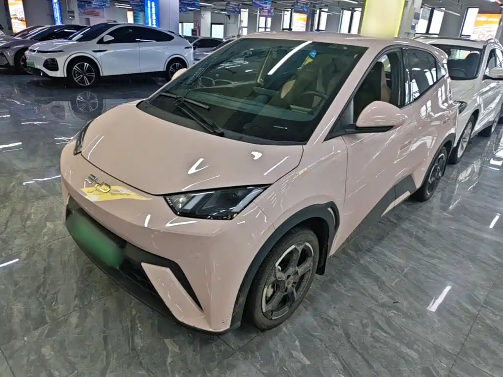 BYD Seagull 2024