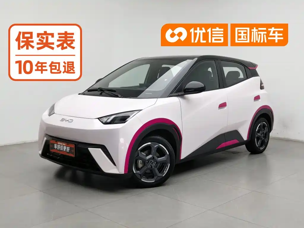 BYD Seagull 2024