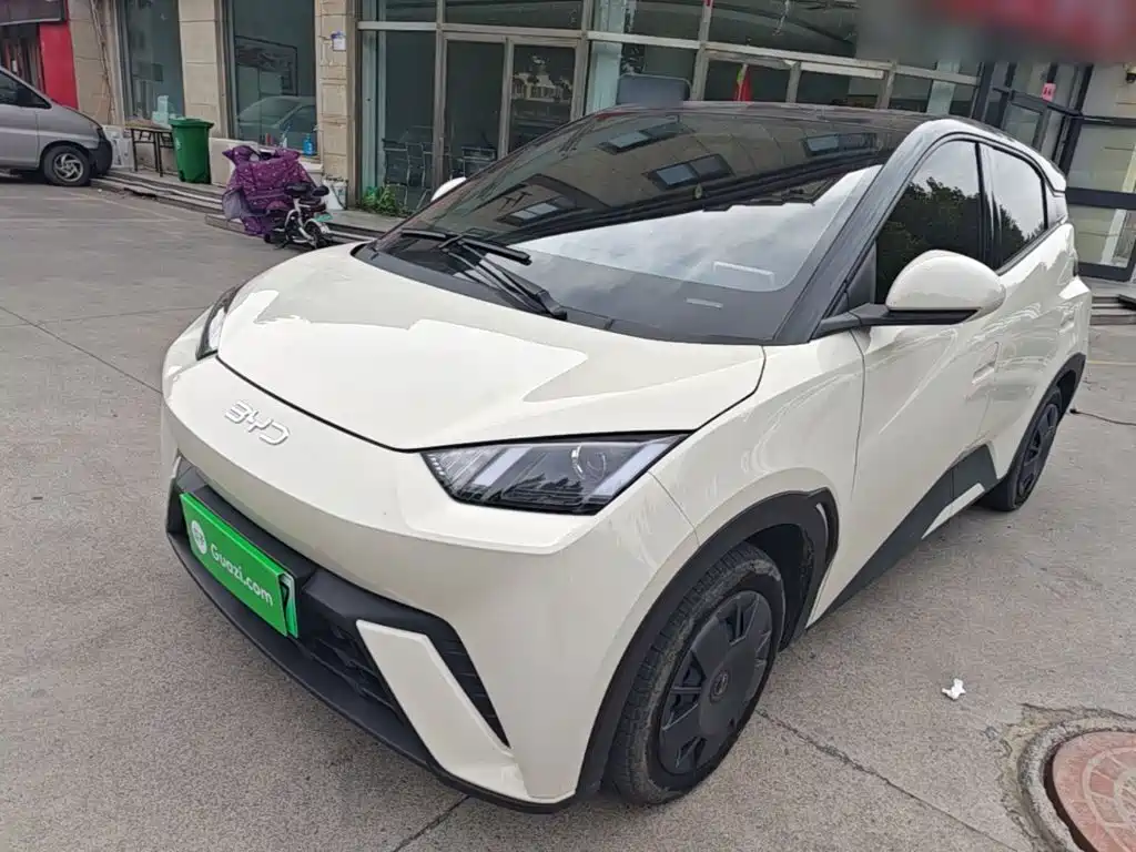 BYD Seagull 2024