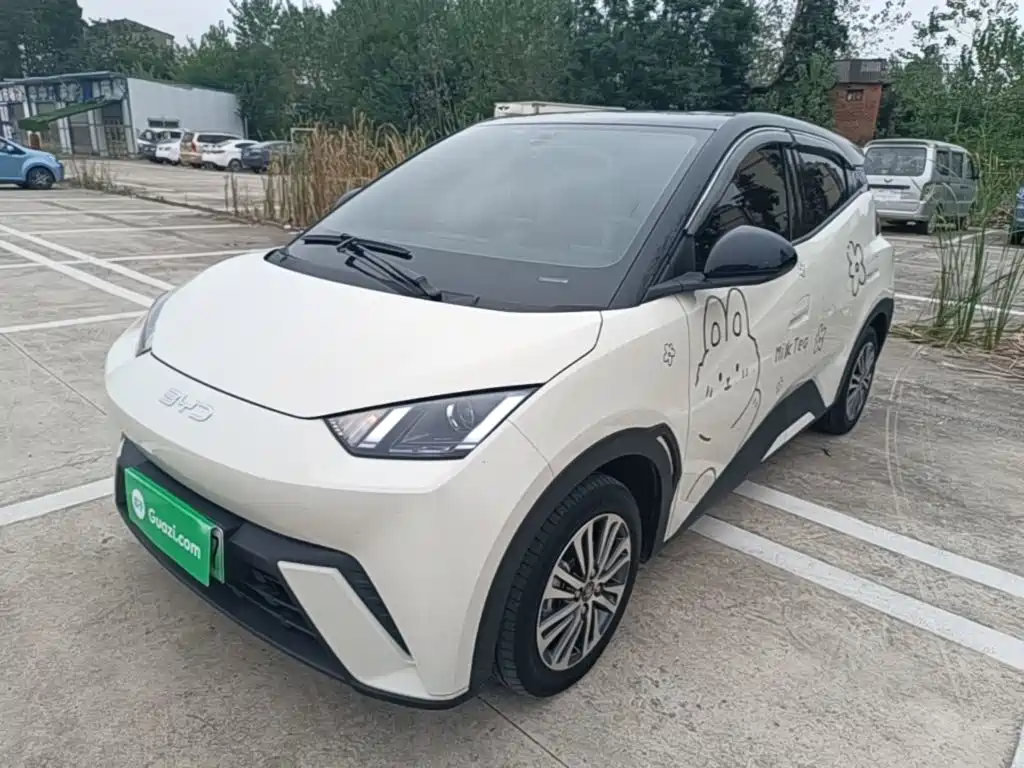 BYD Seagull 2024