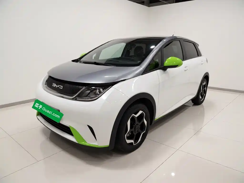 BYD Dolphin 2022