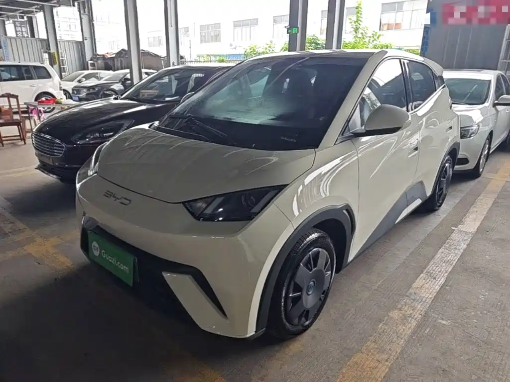 BYD Seagull 2024