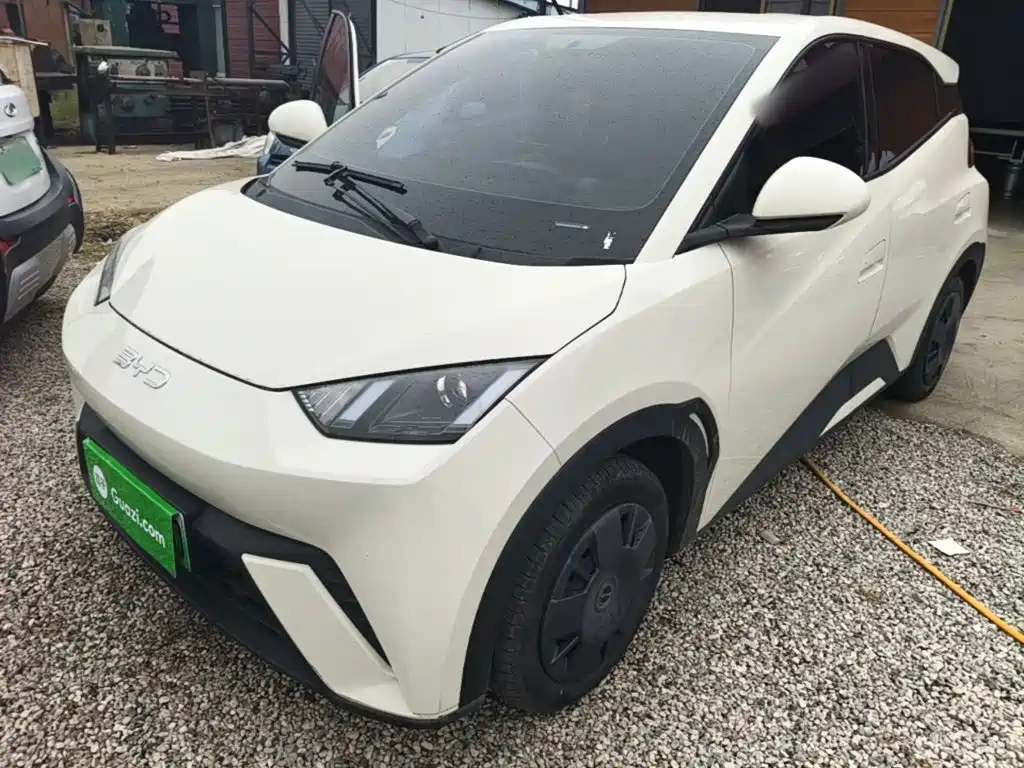BYD Seagull 2024