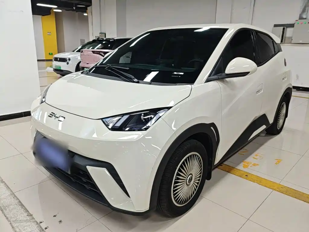 BYD Seagull 2024