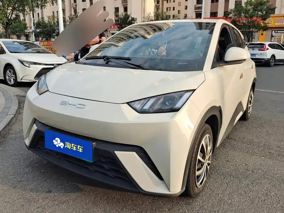 BYD Seagull 2024