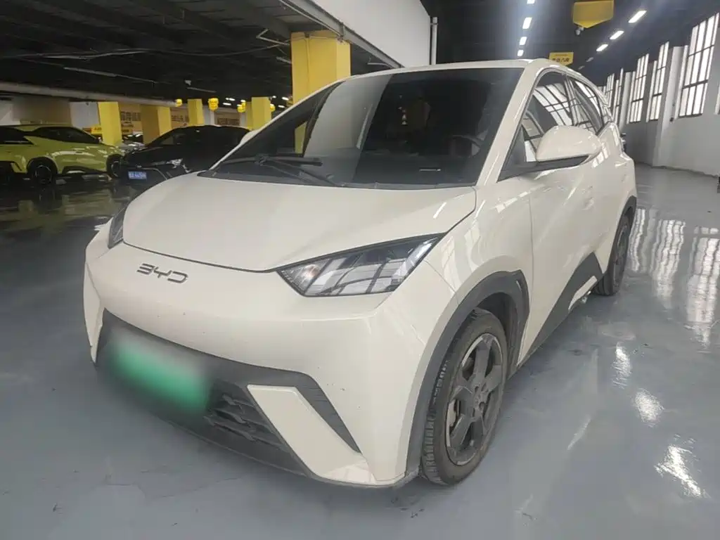 BYD Seagull 2024