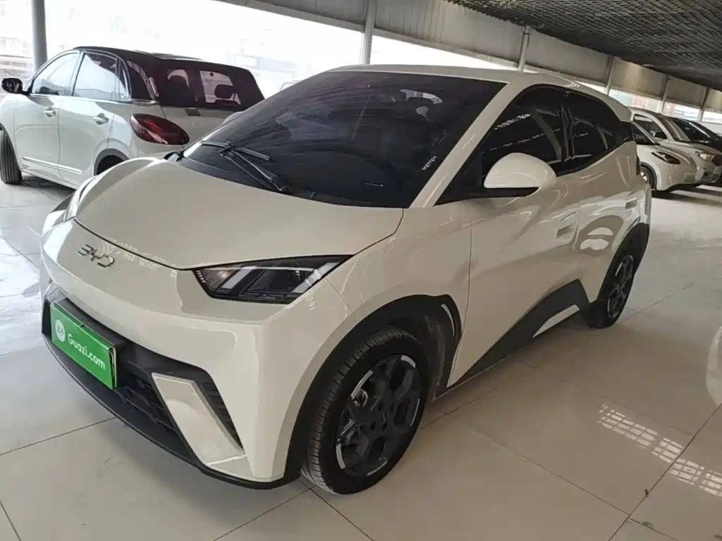 BYD Seagull 2024