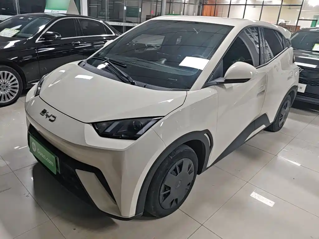BYD Seagull 2024