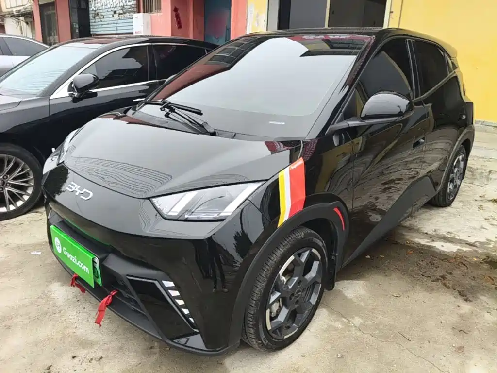 BYD Seagull 2024