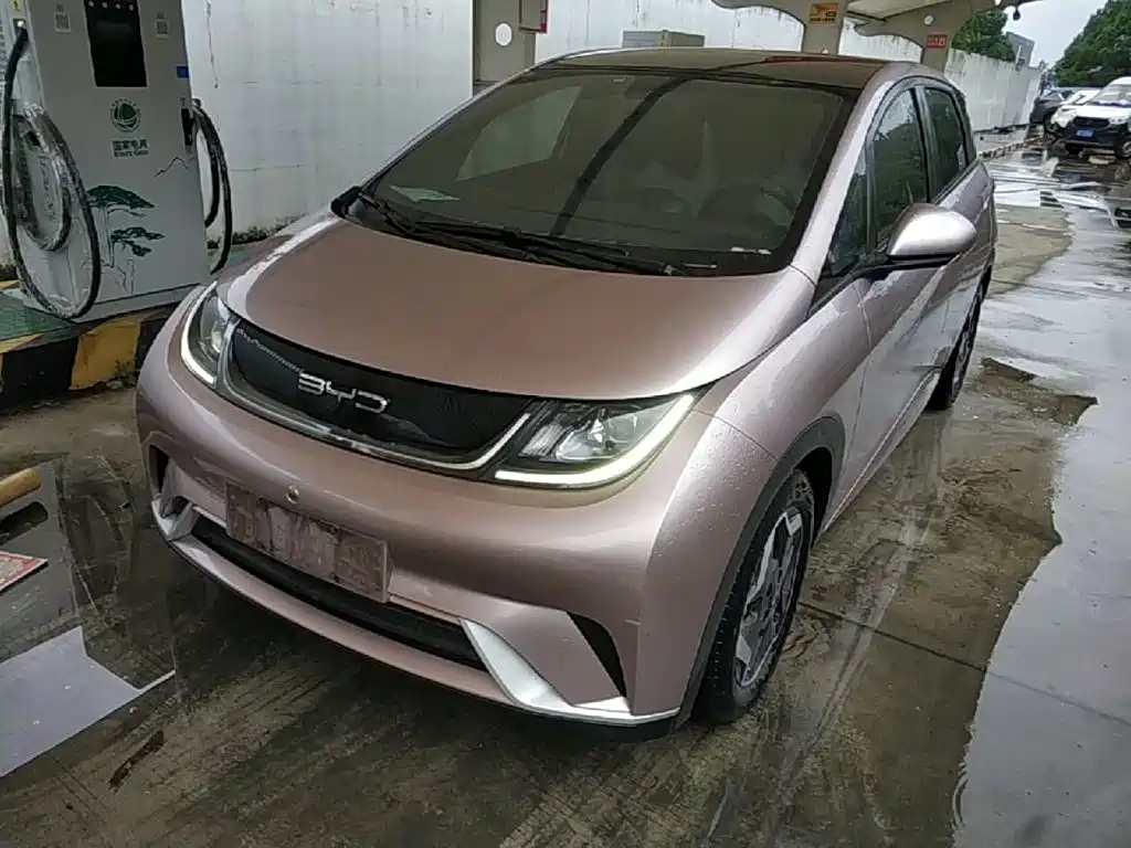 BYD Dolphin 2022