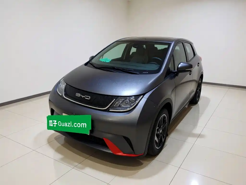 BYD Dolphin 2022