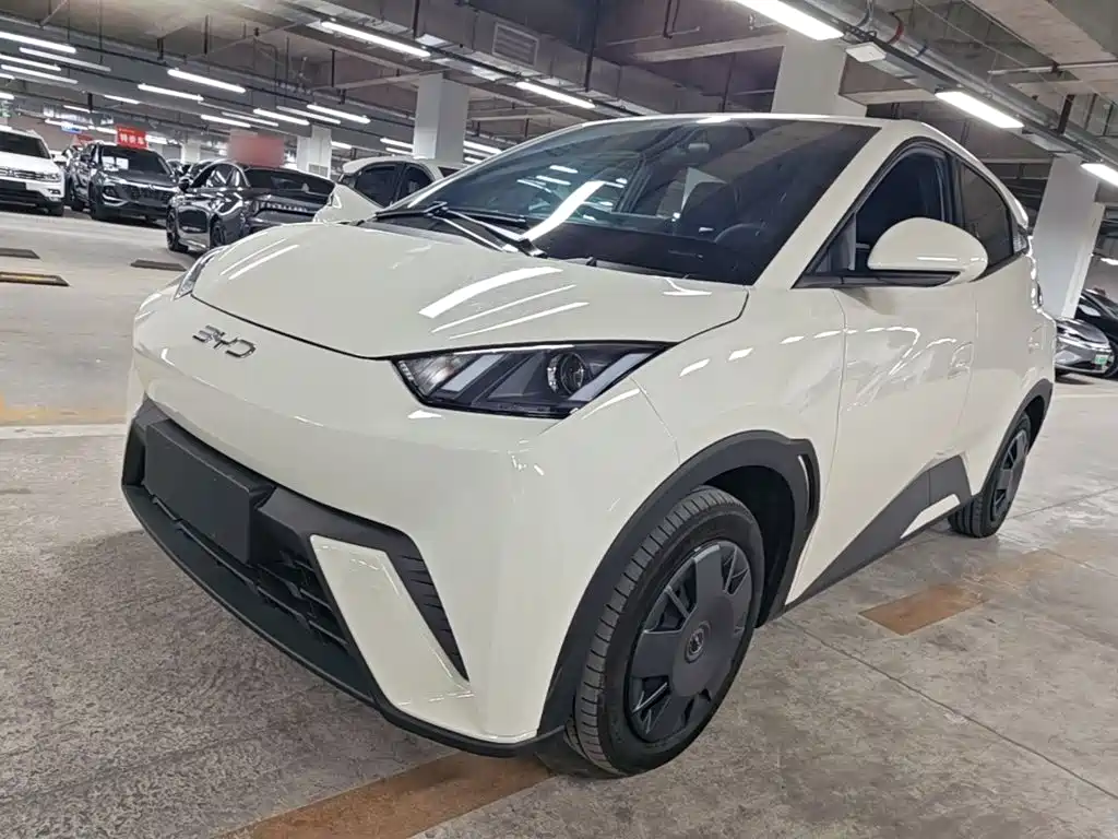 BYD Seagull 2024