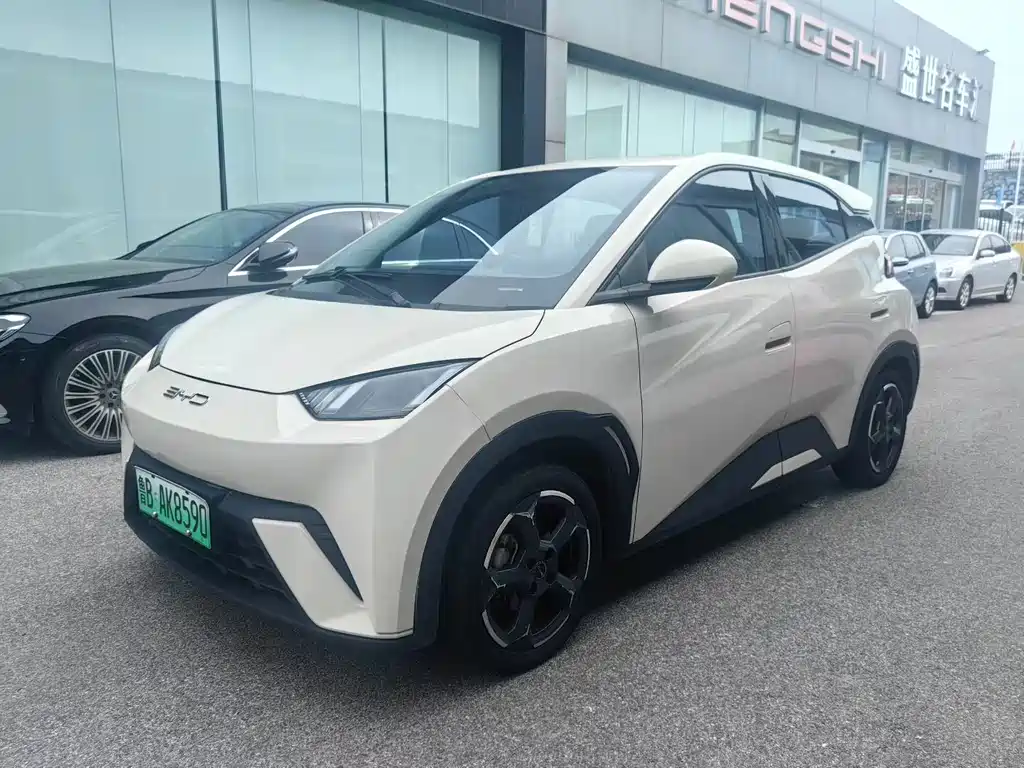 BYD Seagull 2024