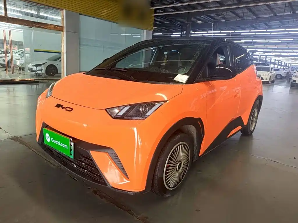 BYD Seagull 2024