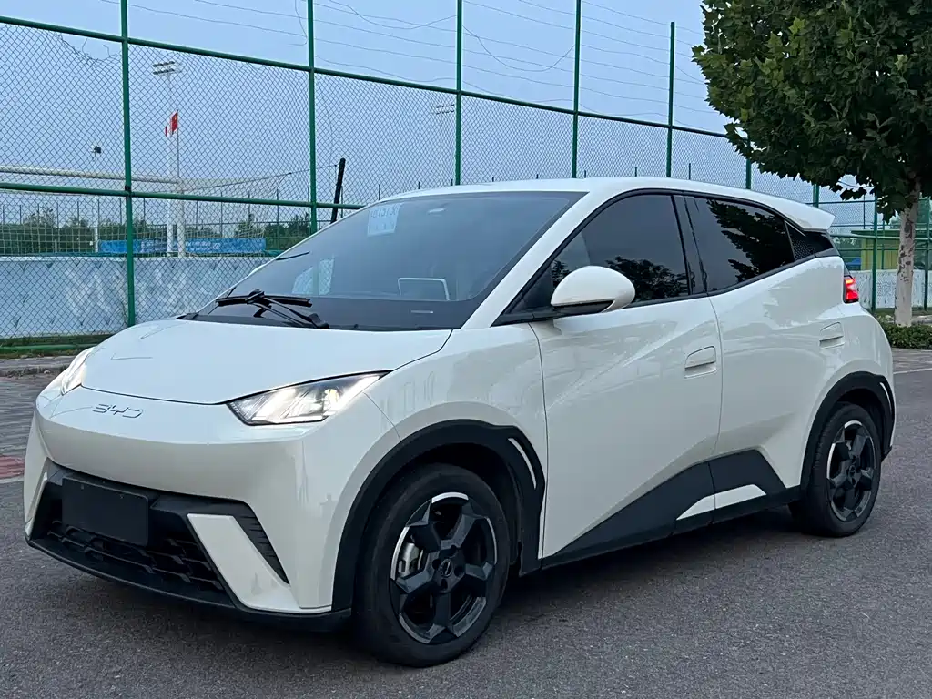 BYD Seagull 2023