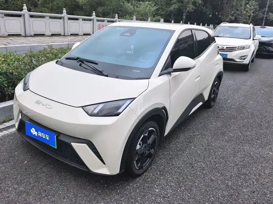 BYD Seagull 2024