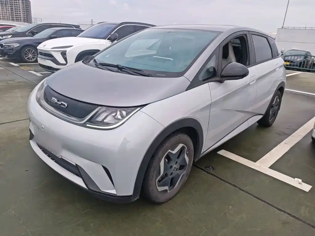 BYD Dolphin 2022